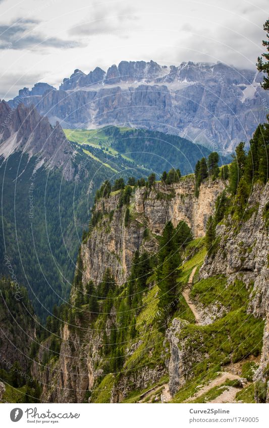 Bergwelten Natur Landschaft Urelemente Himmel Wolken Sommer Baum Wiese Feld Wald Hügel Felsen Alpen Berge u. Gebirge Gipfel fest blau grün Südtirol Dolomiten