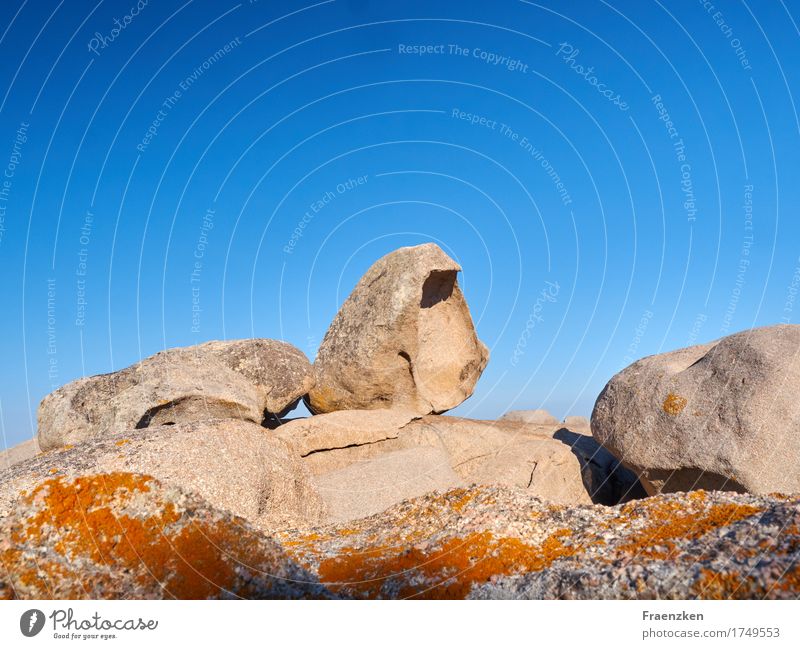 Rocks at Palombaggia beach Ferien & Urlaub & Reisen Sommer Landschaft Himmel Wolkenloser Himmel Sonnenlicht Felsen rund geduldig ruhig Ausdauer standhaft Kraft