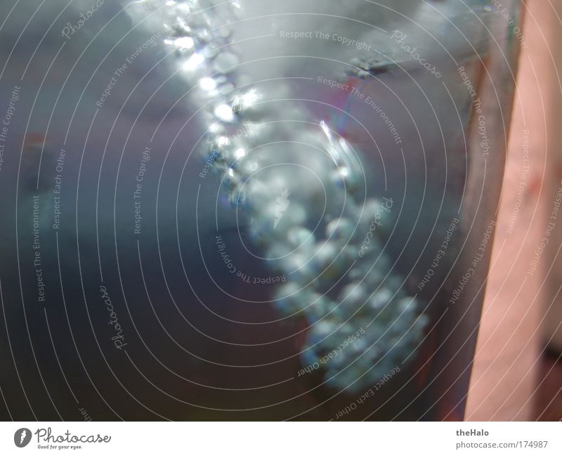 Strohhalm im Glas Farbfoto Innenaufnahme Nahaufnahme Detailaufnahme Makroaufnahme Menschenleer Licht Kontrast Reflexion & Spiegelung Langzeitbelichtung