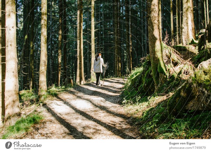 Waldwanderung wandern Mensch feminin 1 18-30 Jahre Jugendliche Erwachsene 30-45 Jahre frisch Gesundheit Glück braun grün Optimismus Willensstärke Vertrauen