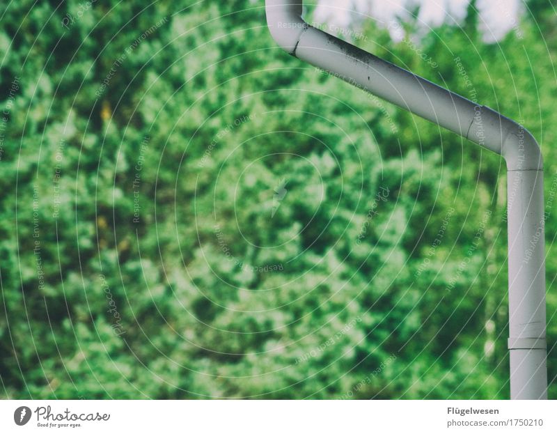 Rohrleitungssystem Ferien & Urlaub & Reisen Umwelt Natur Landschaft Pflanze Tier Gras Sträucher Grünpflanze nass Dachrinne Regen Regenwasser regenarm