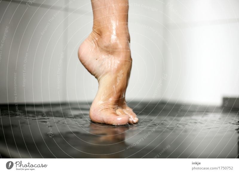 auf einem Bein kann man stehen III schön Körperpflege Pediküre Unter der Dusche (Aktivität) Frau Erwachsene Leben Fuß Barfuß Frauenfuß 1 Mensch ästhetisch nass
