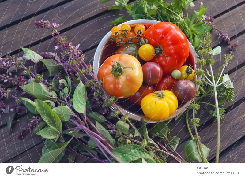 Tomatenallerlei mit frischen Kräutern Lebensmittel Gemüse Salat Salatbeilage Kräuter & Gewürze Ernährung Bioprodukte Vegetarische Ernährung Diät Slowfood