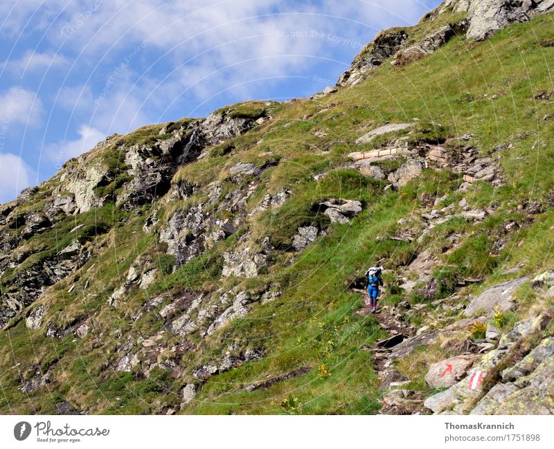 Hinauf Sport Klettern Bergsteigen wandern Mensch feminin Junge Frau Jugendliche Erwachsene 1 18-30 Jahre Natur Landschaft Himmel Sommer Schönes Wetter