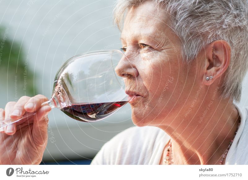 Genussvoll Frau Wein Rotwein trinken Getränk genießen reif Mutter Dame grauhaarig Haare & Frisuren Garten 60 und älter Senior weiblicher Senior weißhaarig
