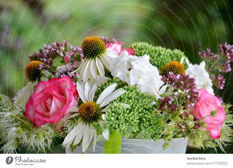 Blumenbouquet für Beate-Helena Häusliches Leben Geburtstag Natur Pflanze Sommer Rose Blüte Garten Blumenstrauß Vase frisch mehrfarbig Gefühle Stimmung Freude