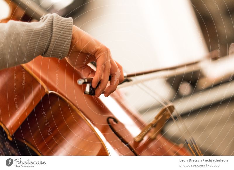 Hand mit Bogen am Cello Frau Erwachsene Finger 18-30 Jahre Jugendliche Musik Musiker Erholung festhalten lernen machen sitzen ästhetisch Freundlichkeit glänzend