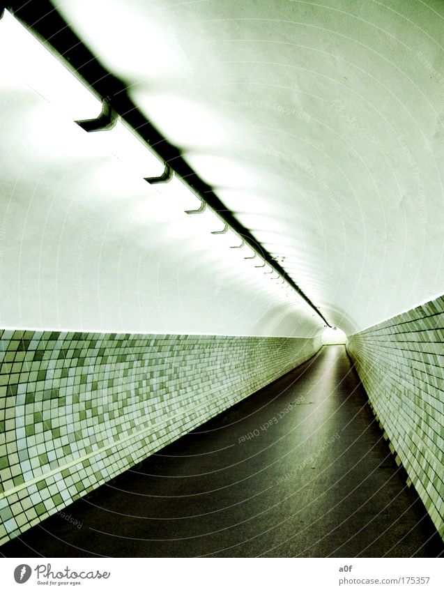 life Farbfoto Gedeckte Farben Innenaufnahme Menschenleer Kunstlicht Kontrast Zentralperspektive Tunnel rund Leuchtstoffröhre Fußgängerunterführung Fluchtlinie