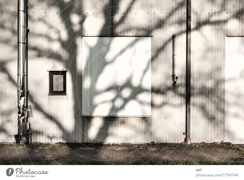 Fassade Natur Baum Industrieanlage Mauer Wand Fenster Dachrinne Schornstein authentisch grau schwarz silber weiß Gedeckte Farben Außenaufnahme Menschenleer