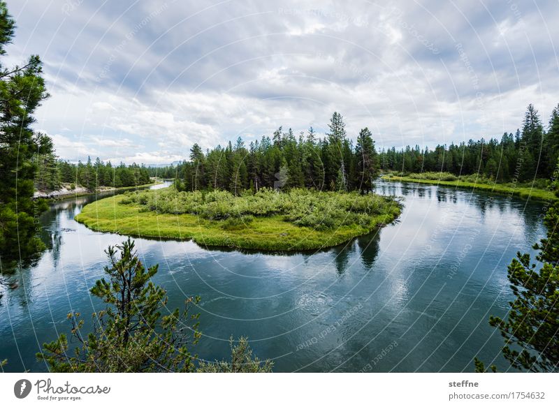 unerwartete Wendung Natur Landschaft Pflanze Wasser Wolken Baum Wald Flussufer natürlich USA Oregon Nationalpark flussschleife Wendepunkt Dramatik Erholung