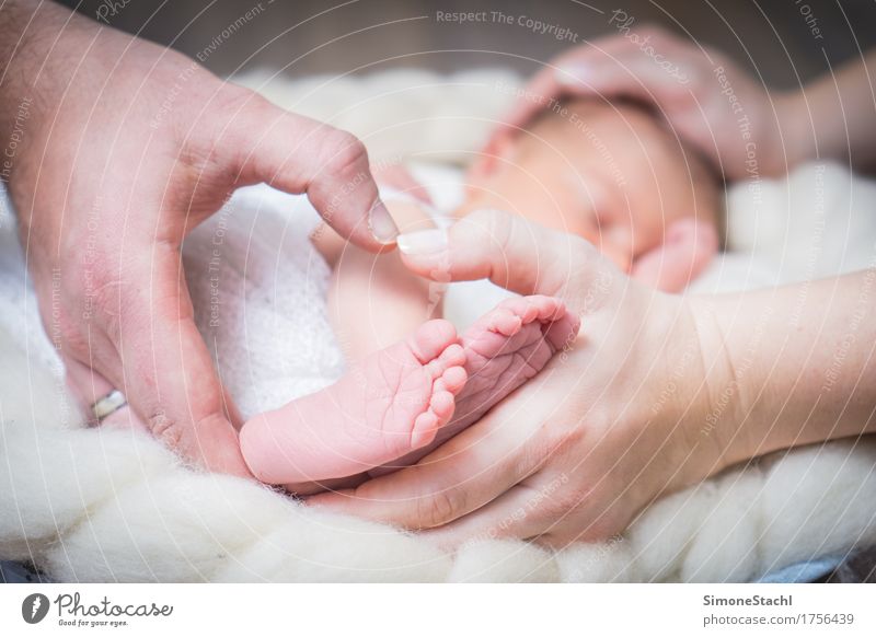 Endlich zu dritt Baby Eltern Erwachsene Mutter Vater Fuß 1 Mensch 0-12 Monate berühren schlafen Glück niedlich Gefühle Vertrauen Sicherheit Schutz Einigkeit