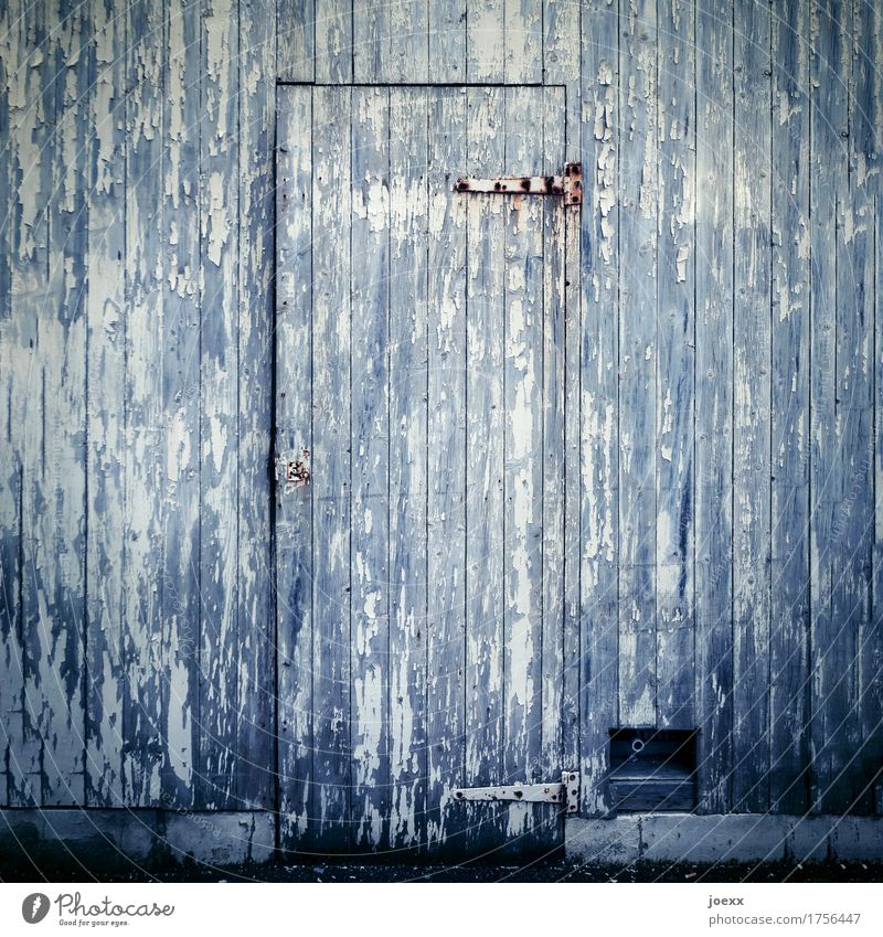 Vintage Fassade Tür Holz alt grau weiß Verfall verwittert Holztür Scharnier Farbfoto Gedeckte Farben Außenaufnahme Nahaufnahme Menschenleer Tag
