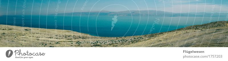 Dead Sea Wellness Ferien & Urlaub & Reisen Tourismus Ausflug Abenteuer Ferne Freiheit Wasser Wellen Küste Seeufer Meer Wüste trocken Totes Meer Tod Salz salzig