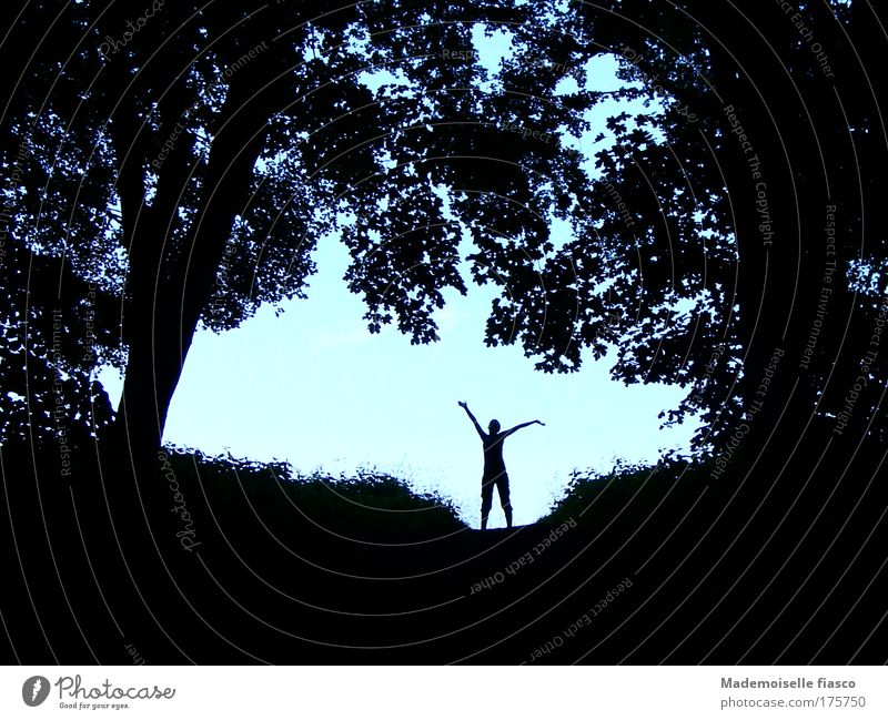 Silhuette im Wald vor hellem Hintergrund Sommer wandern 1 Mensch Landschaft Himmel Schönes Wetter Baum Sträucher Bewegung Ferne blau schwarz Lebensfreude Mut
