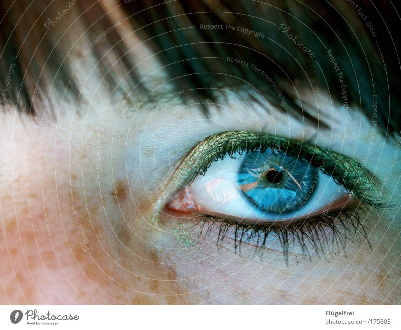 Deep blue feminin Frau Erwachsene Auge 1 Mensch 18-30 Jahre Jugendliche Blick kalt blau Lidschatten Schminke Kosmetik olivgrün Sommersprossen fixieren