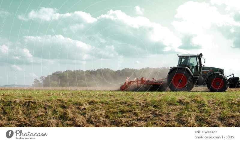 Pflügen Getreide Ernährung Erntedankfest Beruf Landwirt Maschine Motor Natur Landschaft Himmel Wolken Nutzpflanze Feld Dorf Traktor Arbeitsbekleidung
