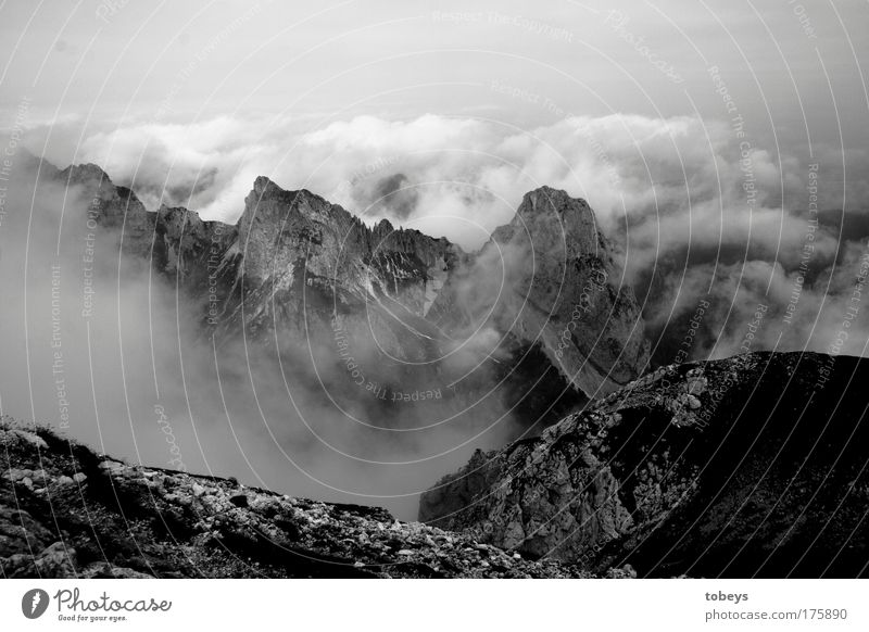 99: Teufelszacken Berge u. Gebirge Klettern Bergsteigen Wolken Nebel Felsen Alpen Gipfel Gletscher Schlucht hoch Schwindelgefühl Gott Allgäuer Alpen Bayern