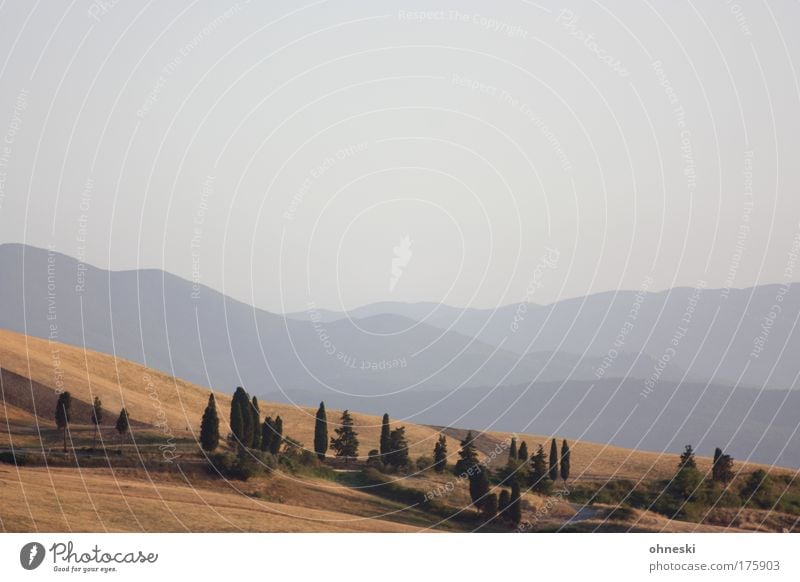 Toskana Gedeckte Farben Außenaufnahme Menschenleer Abend Panorama (Aussicht) Natur Landschaft Pflanze Himmel Horizont Baum Feld Hügel Berge u. Gebirge Volterra