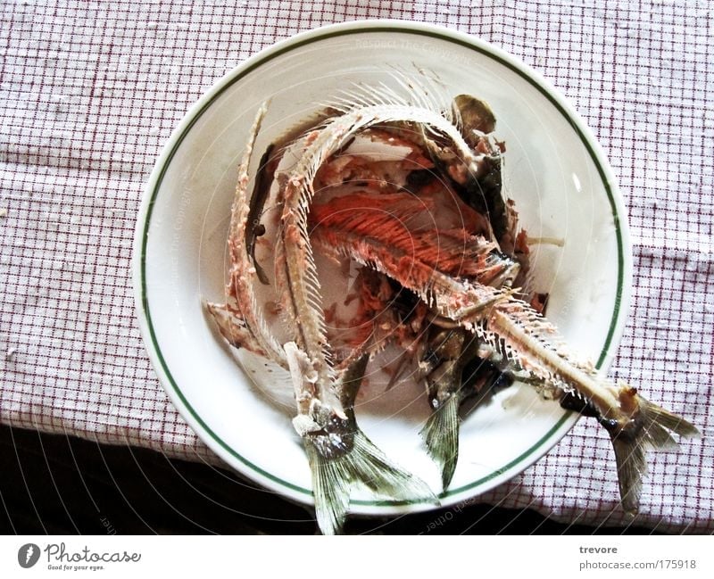 Abendessen Farbfoto Innenaufnahme Nahaufnahme Menschenleer Textfreiraum links Vogelperspektive Lebensmittel Fisch Schalen & Schüsseln Ekel Fischgräte Müll grün