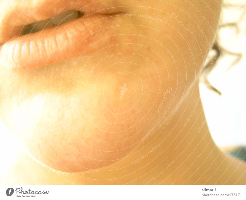 Kinn Haut Gesicht Bad Frau Erwachsene Mund Lippen Locken Körperpflege Hals Farbfoto