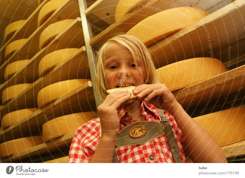 Alles Käse Farbfoto Innenaufnahme Weitwinkel Porträt Lebensmittel Milcherzeugnisse Essen Vegetarische Ernährung Übergewicht Tourismus Keller Kind Senner Mädchen
