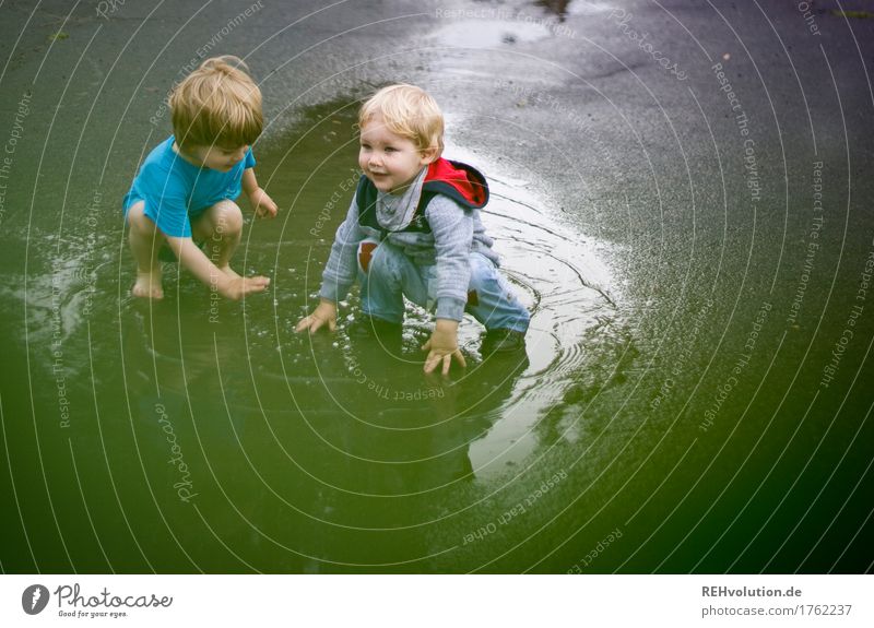 Pfützenspaß Mensch maskulin Kind Kleinkind Junge 2 1-3 Jahre Sommer schlechtes Wetter Regen Straße Wasser Spielen authentisch außergewöhnlich Fröhlichkeit Glück