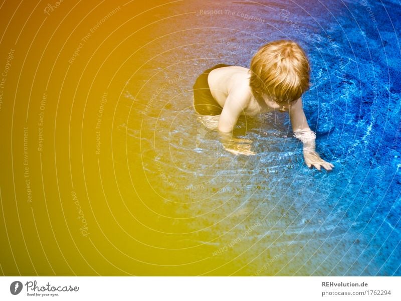im Freibad Schwimmen & Baden Schwimmbad Mensch maskulin Kind Kleinkind Junge Kindheit 1 1-3 Jahre Bewegung entdecken genießen Spielen außergewöhnlich klein nass
