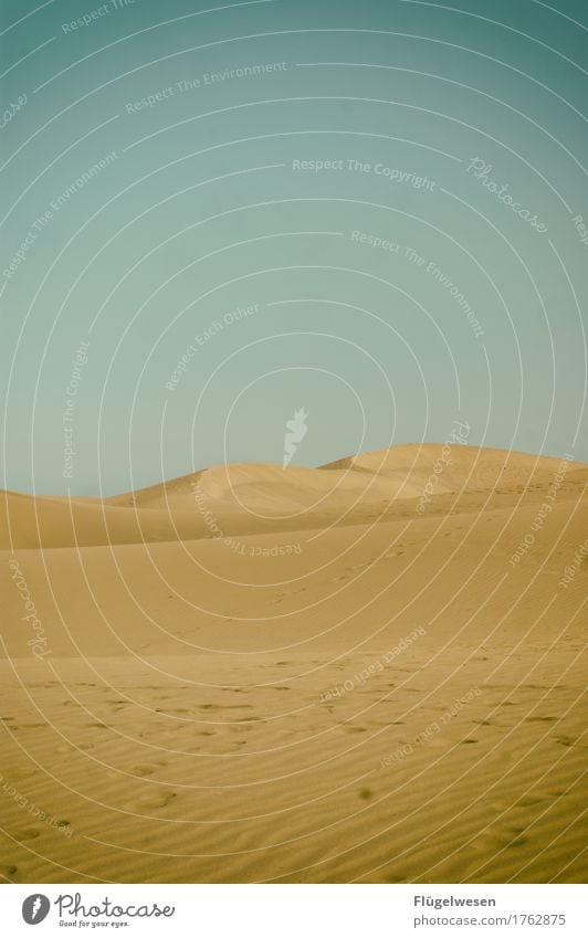 brennend heißer Wüstensand Sand Sommer Klima Klimawandel Schönes Wetter Dürre Wüste Judäa Sandsturm Sandverwehung Himmel Farbfoto Außenaufnahme Tag Menschenleer