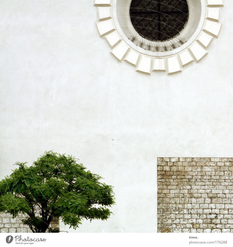 Basis und Überbau (religious style) Baum grün klein Mauer Stein Backstein historisch Kirche Kapelle Fenster Bogen getüncht Geschichte Dekoration & Verzierung