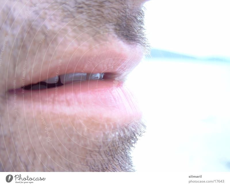 Küss mich Mann Lippen Bart Küssen verführerisch lecker kratzig Barthaare Rasieren Gesichtspflege Körperpflege Wellness Erholung Pause Luft atmen Sauerstoff