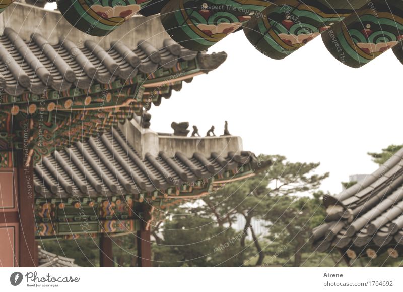 im Land der schwungvollen Dächer Süd Korea Palast Tempel Dach Sehenswürdigkeit Holz exotisch historisch trist braun Respekt bizarr Klima bemalt Figur Wärme trüb