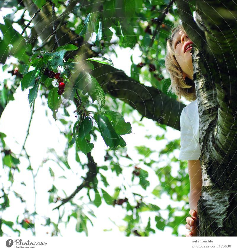 Mit mir ist gut Kirschen essen! Frucht Ernährung Bioprodukte Mensch Mädchen Kindheit Gesicht Mund Arme Hand Natur Pflanze Himmel Baum Blatt Nutzpflanze Garten