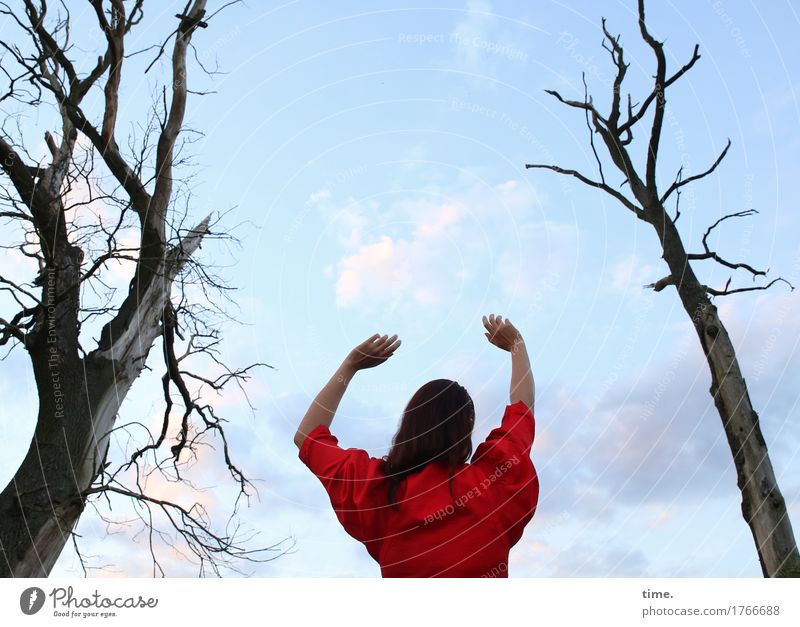 . feminin 1 Mensch Schönes Wetter Baum Kleid brünett langhaarig Bewegung stehen Euphorie Leidenschaft Schutz Wachsamkeit Leben Hoffnung Einsamkeit