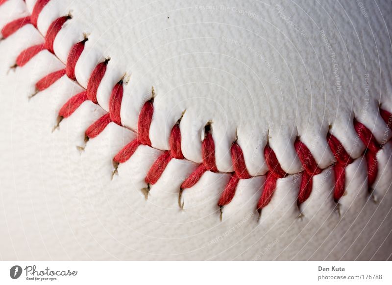 Nah(t)aufnahme Sport Ballsport Baseball Sammlerstück Leder festhalten Spielen authentisch rot weiß Freude Erfolg Leidenschaft Akzeptanz Enttäuschung anstrengen