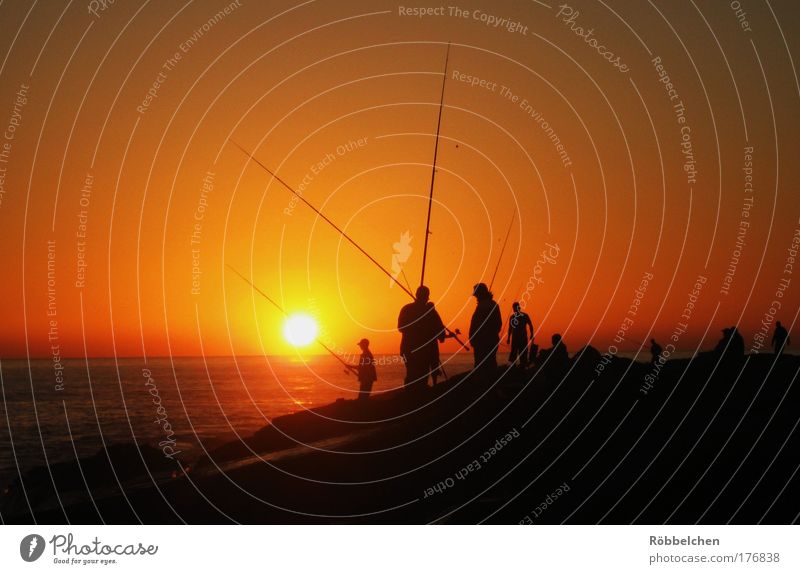 Fishermen Friends Farbfoto Gedeckte Farben Außenaufnahme Abend Dämmerung Sonnenaufgang Sonnenuntergang Angeln Meer Mensch Menschengruppe Taghazout / Agadir