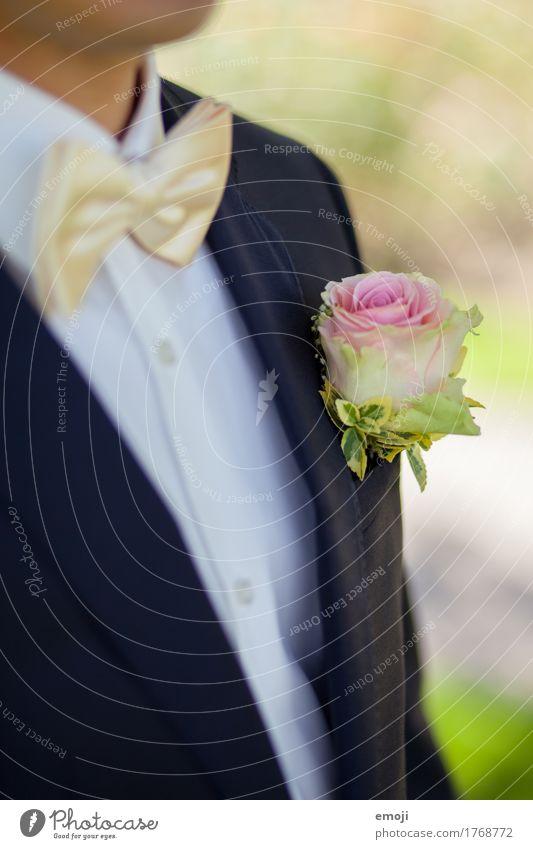 groom Pflanze Blume Rose Anzug Accessoire Fliege Kitsch Klischee Bräutigam Farbfoto Außenaufnahme Detailaufnahme Tag Schwache Tiefenschärfe