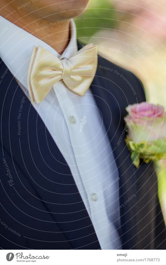 groom Blume Rose Mode Anzug Accessoire Fliege Kitsch Klischee Farbfoto Außenaufnahme Detailaufnahme Tag Schwache Tiefenschärfe