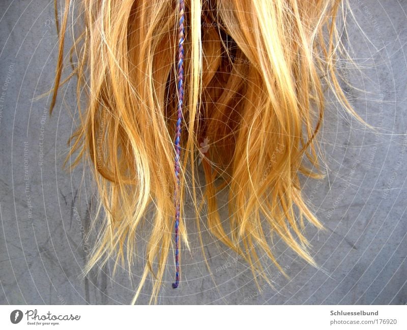 falling hair schön Haare & Frisuren 1 Mensch blond langhaarig hängen glänzend hell trendy feminin gold grau weiß Erholung Leichtigkeit Linie dünn eng