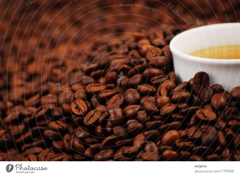 Kaffee Farbfoto Innenaufnahme Studioaufnahme Detailaufnahme Kunstlicht Unschärfe Lebensmittel Ernährung Kaffeetrinken Getränk Heißgetränk Latte Macchiato