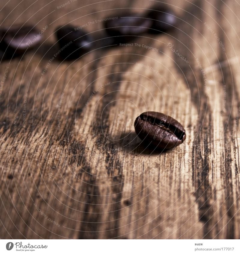 Zack, die Bohne Lebensmittel Kaffeetrinken Latte Macchiato Espresso Holz ästhetisch einfach natürlich trocken braun Kaffeebohnen Maserung Stillleben aromatisch