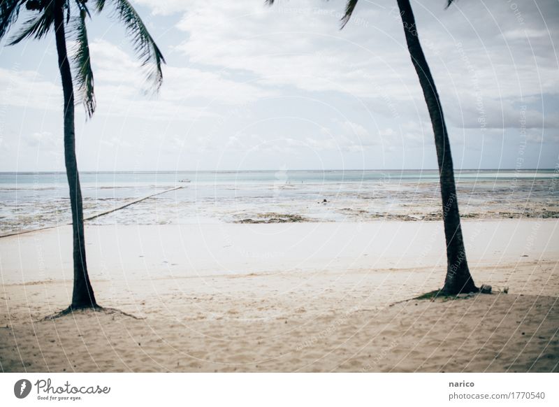 Zanzibar IV Umwelt Natur Landschaft Sand Strand Meer Insel Sansibar Menschenleer Erholung Ferien & Urlaub & Reisen Urlaubsfoto Urlaubsstimmung Tansania Afrika