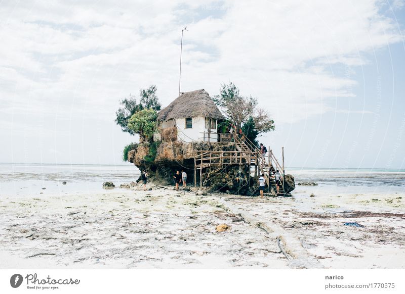 Zanzibar VI Natur Landschaft Sand Wasser Sommer Strand Meer Haus Hütte Sehenswürdigkeit niedlich schön ruhig Tourismus Ferien & Urlaub & Reisen Urlaubsfoto