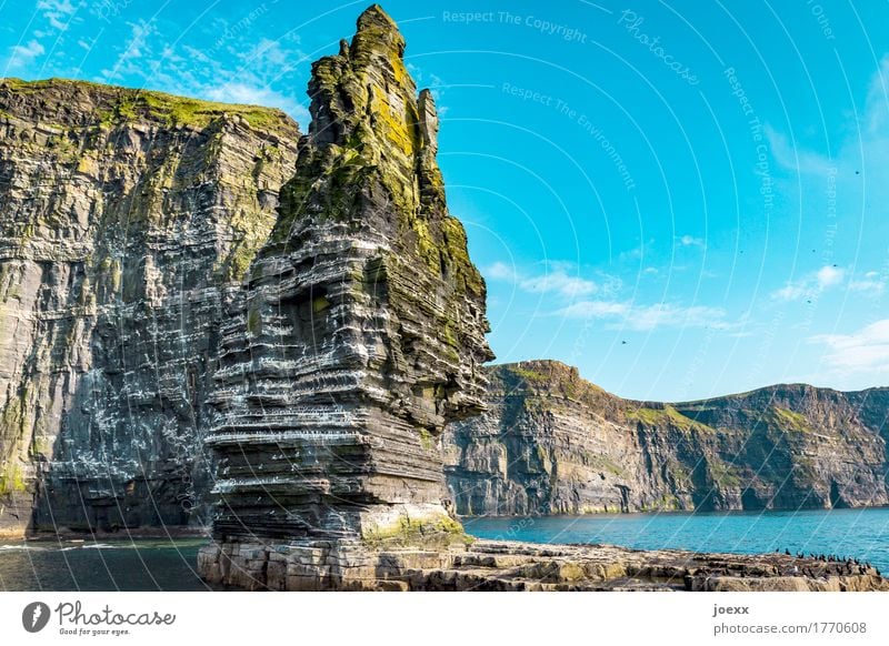 Branaunmore Natur Landschaft Himmel Schönes Wetter Felsen Berge u. Gebirge Cliffs of Moher Küste Meer Insel Republik Irland Klippe Vogel Schwarm gigantisch hoch