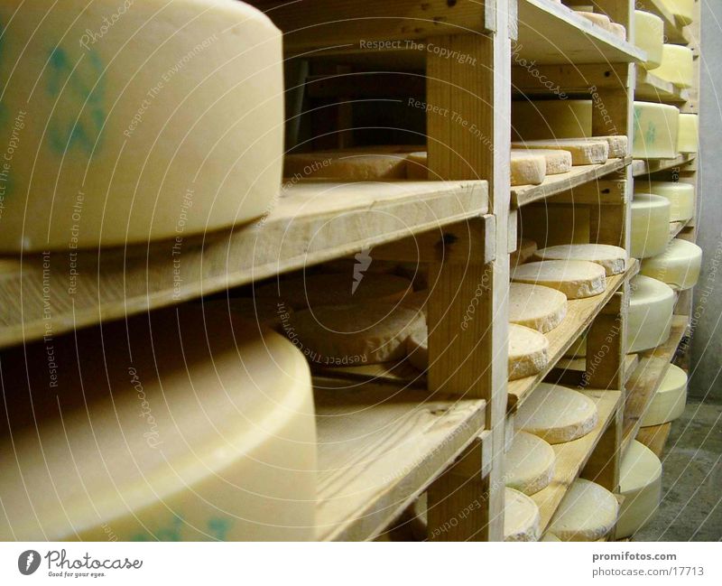 Käse in einem Käsekeller im Allgäu, Bayern, Deutschland, Europe / Foto: Alexander Hauk Gesundheit lecker Käselager Allgäuer Käse Lebensmittel Milch