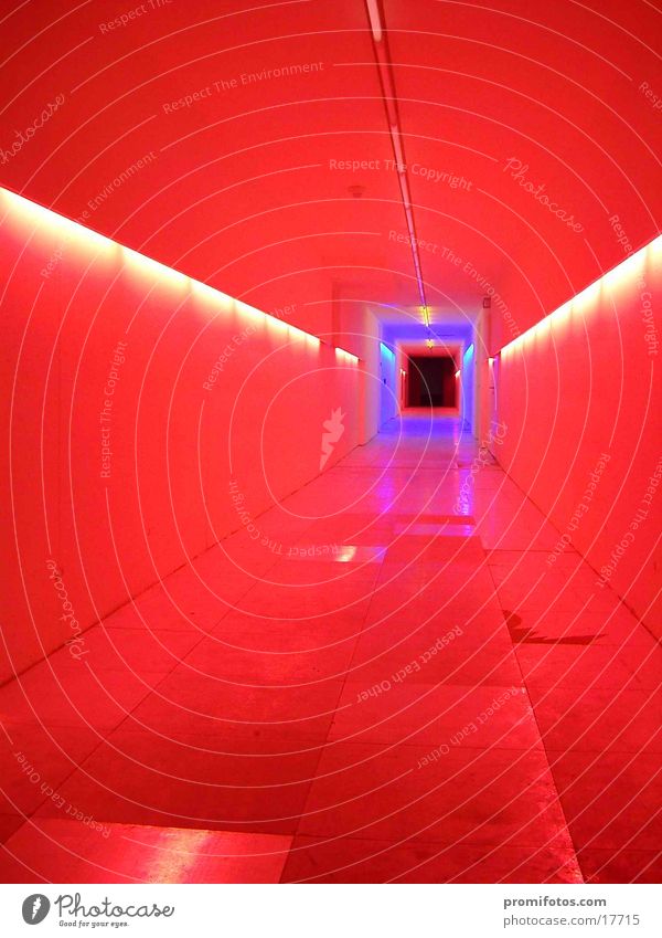Bunt ausgeleuchteter Tunnel in einem Gebäude. Foto: Alexander Hauk Lampe Farbe Dinge Gang Licht Lichtkunst Kunst Art Lichtspiel Erleuchtung rot Weg Röhre blau