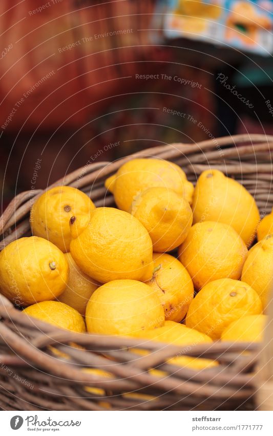 Frische gelbe Zitronen in einem Obstkorb Lebensmittel Frucht Ernährung Essen Gesundheit Gesunde Ernährung Wellness Pflanze Baum gold Bauernmarkt Landwirtschaft
