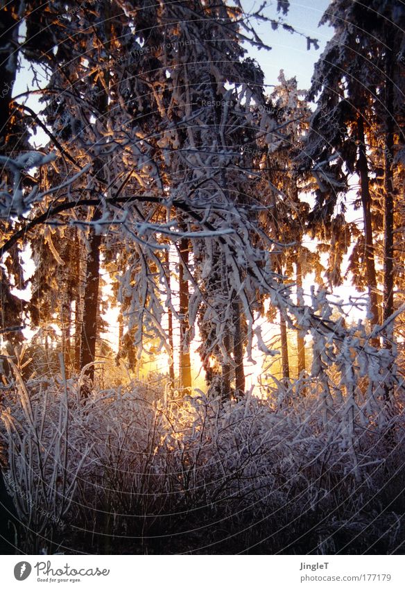 kleine Abkühlung gefällig? Sonnenstrahlen schön Winter Eis Frost Wald frisch kalt Stimmung Raureif Anmut Klarheit Schwäbische Alb Erinnerung Schnee
