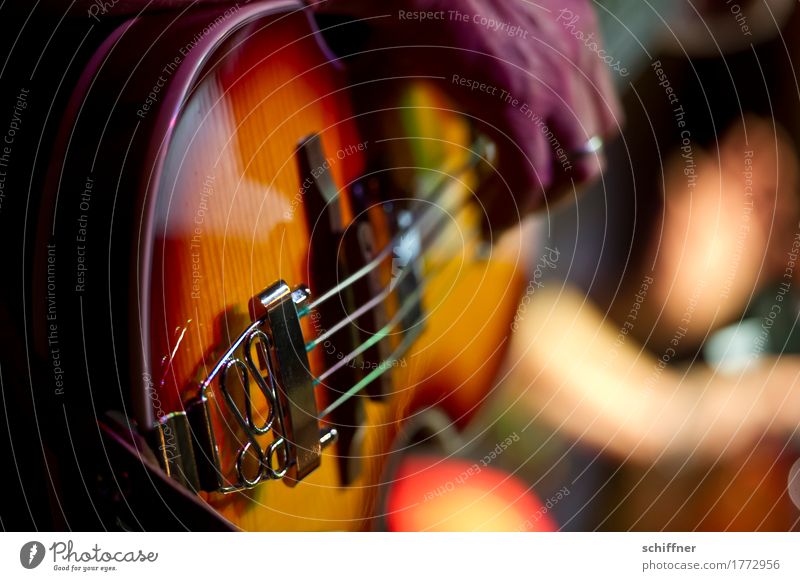 Klangfarbe | Bassline Künstler Musik Konzert Bühne Musiker Spielen Musikinstrument Kontrabass Elektrobass zupfen Rockmusik Rockmusiker Hand musizieren