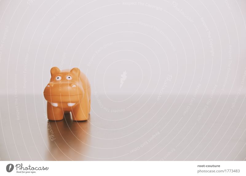 Hippokrates Tier 1 Spielzeug Kunststoff dick Freundlichkeit lustig orange Trägheit Freude Gummitier Freisteller Flußpferd schön niedlich zweifarbig Plastikfigur