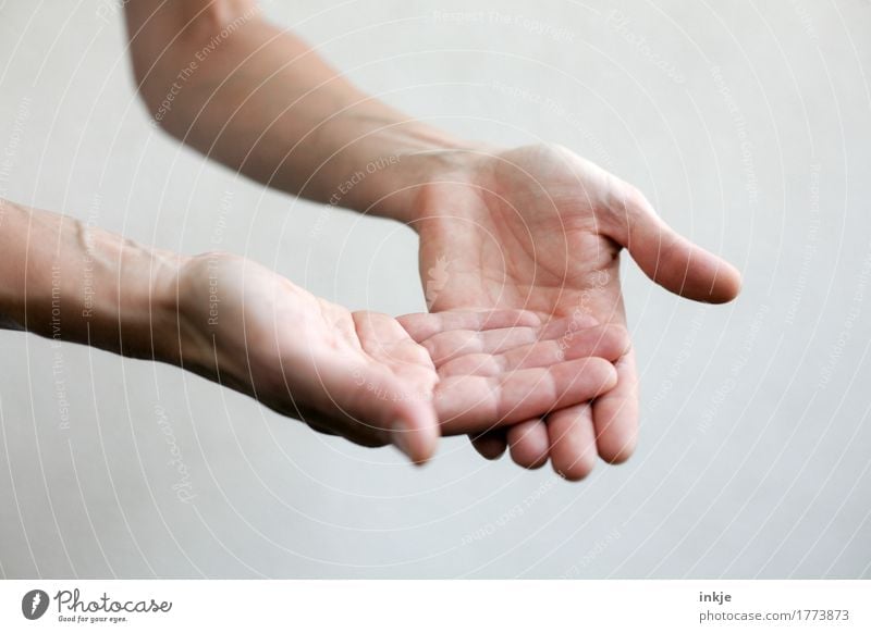 es liegt doch auf der Hand Erwachsene Leben 1 Mensch Kommunizieren gestikulieren Vor hellem Hintergrund Handfläche anschaulich zeigen berühren bedeuten